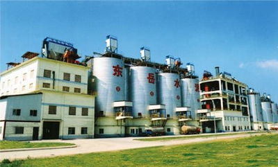 建筑建材 撑起城市天际线的无声基石